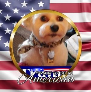 Meet your Posher, Ellen